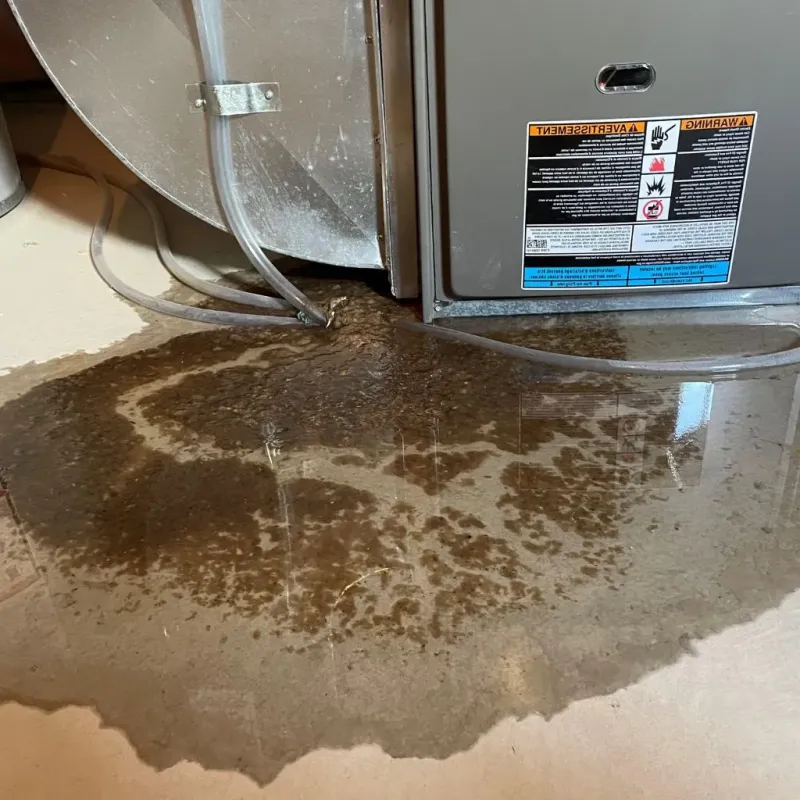 Pipe Burst and Leak Restoration in Sunrise Manor, NV